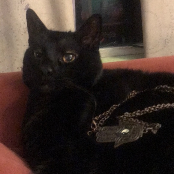 Necklace - Picture 3 of 7